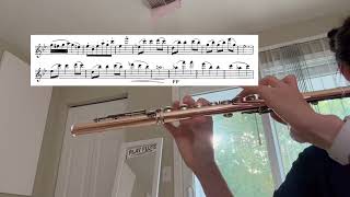 93024 practice log Demersseman 50 Etudes Melodiques no 3 [upl. by Lib]