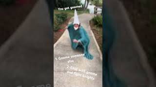 You got gnomed memes crawly gnomes gyatt [upl. by Randene]