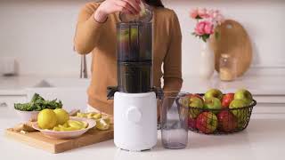 Introduce With Hurom H310A Easy Clean Slow Juicer  Best Slow Juicer 2024 [upl. by Dulcia]