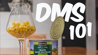 Whats DMS Dimethyl Sulfide [upl. by Niliram]