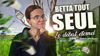 BETTA SÉLECTIONNÉS EN AQUARIUM COMMUNAUTAIRE  Pour ou Contre  😨 [upl. by Bartlett545]