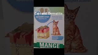 Dog and Cat skin disease amp Zeroderma oil [upl. by Ahcropal]