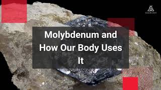 Molybdenum and How Our Body Uses It [upl. by Craggy695]