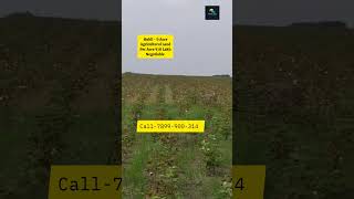 9 Acre Agricultural Land For Sale Hubli Karnataka 7899900314 farmland popcorn cultivation agri [upl. by Ani768]