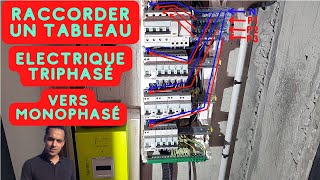 comment brancher un tableau électrique triphasé [upl. by Arretahs]