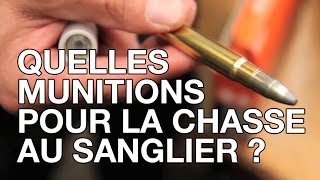 Quelles munitions pour la chasse au sanglier [upl. by Ylluz]