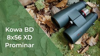 Kowa BD 8x56 XD Prominar Binoculars Review  Optics Trade Reviews [upl. by Storer657]