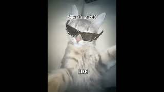 Rizzy cat credits to ItsKirana740 trending funny memes rizzler sigmacat [upl. by Oikim]