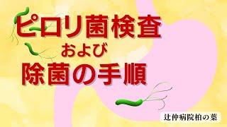 ピロリ菌検査および除菌の手順  辻仲病院柏の葉 [upl. by Ytisahc]