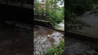 Hochwasser  Wasserburg am Inn [upl. by Einwahr]