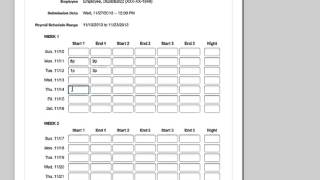 Creating a Timesheet  PCA [upl. by Shaine]