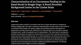 39 Characterization of an Uncommon Finding in the Basal Nuclei in Beagle Dogs [upl. by Sumedocin]