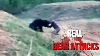 Natures Most SAVAGE Bear Attacks [upl. by Nomrej]