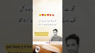 फ़नकार  Urdu Shero Shayari Status  Urdu Quotes Status urdupoetry urduquotes [upl. by Letnom136]