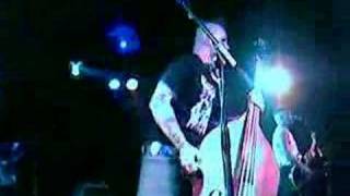 Tiger Army  Never Die Live [upl. by Vivi]