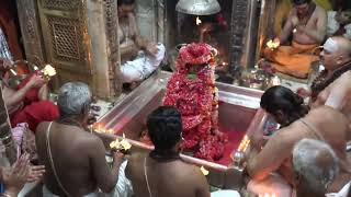 Kashi Vishwanath Saptarishi Aarti  काशी विश्वनाथ [upl. by Eniamor]