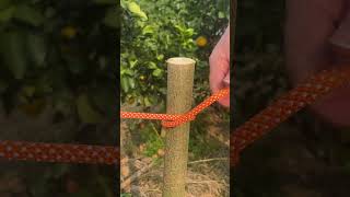 Great Clove Hitch，It Works usefulknot knot rope [upl. by Rohn]