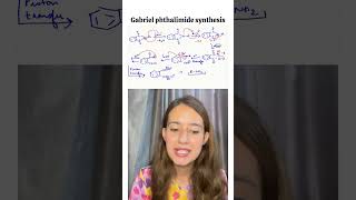 Day 25 Gabriel phthalimide synthesis for NEET  JEE  Board exams [upl. by Burt639]