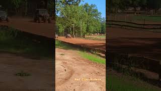 Honda Talon VS Can Am X3 Max Turbo at Durhamtown ATV Park Union Point Georgia redclayriders shorts [upl. by Egreog740]