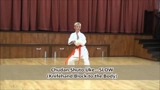 Shotokan Grading Syllabus 9th Kyu  8th Kyu [upl. by Whitver]