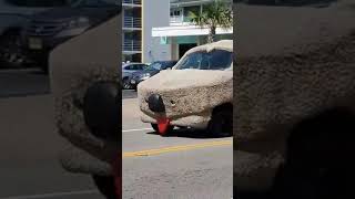 The time i seen the Shaggin Wagon 2018 funny viral funnyvideo laugh funnyshorts [upl. by Gusella]