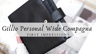 Gillio Personal Wide Compagna  First Impressions  Friends Collection Part 3 [upl. by Ilrac157]