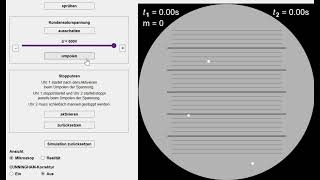 Leifi  SteigSinkMethode  Simulation [upl. by Retxed419]