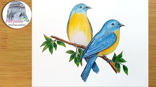 How to draw Eastern Bluebirds step by step [upl. by Trudnak]