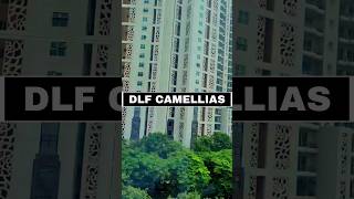 DLF Camellias Flats Sold Out 110 Crore  Camellias Was Not One Time Wonder [upl. by Bred331]