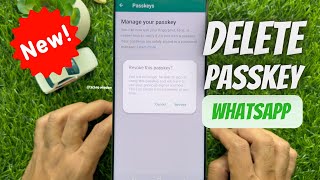 How to Remove a Passkey on WhatsApp [upl. by Assenad954]