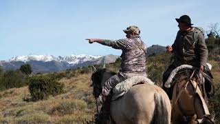 Red Stag Hunting in Argentina  Red Stag Lanin 4k [upl. by Longley]