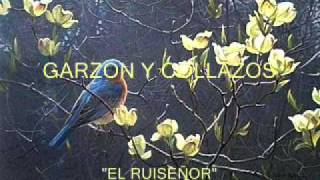 Garzón y Collazos  El ruiseñor  Colección Lujomarwmv [upl. by Rhee]