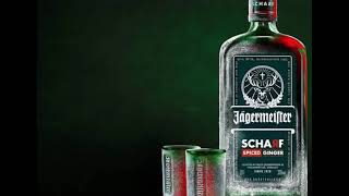 Jagermeister presents 101 amapiano remix 2024 [upl. by Hairu]