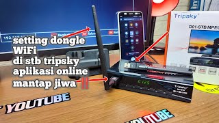 Cara setting dongle WiFi di stb tripsky [upl. by Mcnally]