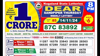 Lottery Result Today 8pm 14112024  Official  Nagaland Lottery [upl. by Norvun]