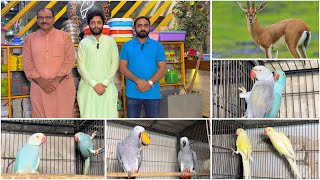 Multan Sunday Birds Rasheedabad 7 july 2024 latest Update​ I Part 2 [upl. by Abla926]