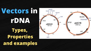 Vectors in Recombinant DNA Technology  Part1 [upl. by Weil]