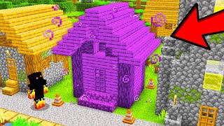 Transformei Casas em Poções no Minecraft [upl. by Nallid]