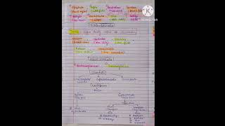 Phylum porifera to chordata All ncert examples animalkingdomneet pwnotes zoologynotes ncert [upl. by Otrebide]