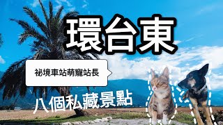 一天玩遍8個台東必去景點 2023最新台東一日遊攻略 台九線不擁擠CHILL擼貓擼狗療癒行程從早玩到晚 花東最美山線公路 [upl. by Aniehs]