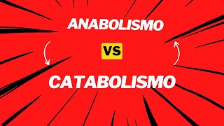 Anabolismo vs Catabolismo ¡Domina los conceptos básicos de biología [upl. by Leikeze193]