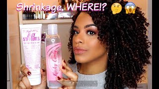 ChellisCurls  Minimal Shrinkage Wash amp Go  Styling Tips and Tricks [upl. by Amelia126]