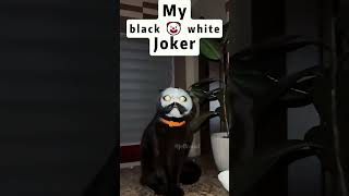 The end 🤣 shortvideo funnypetschannel funny cat catvideos pets petschannel funnypetclub [upl. by Fiedling]