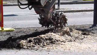 Stubbfräs  stump cutter on a Volvo ECR88 excavator [upl. by Dewhurst]