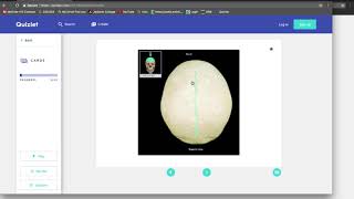 How to use Quizlet [upl. by Nelram269]