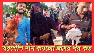 খরগোশ পালন পদ্ধতি khorgos bacha palon [upl. by Sybyl]