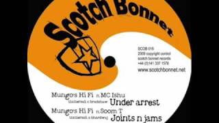 Mungos Hi Fi feat Mc Ishu Junior Dread amp Soom T  Under Arrest Mix Under Arrest Riddim [upl. by Aonehc]