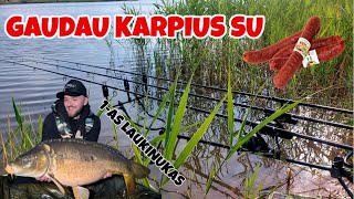 Laukinių Karpių Žvejyba Ant Dešros Kiek Jauko Naudoti Déjà vu Karpininko Dienoraštis 41 [upl. by Lesser]