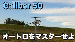 ラジコンヘリ クエスト キャリバー 50 オートローテーションをマスターせよ NeoCaliber [upl. by Brodie476]