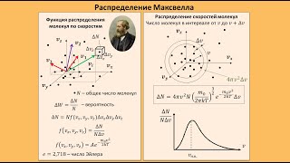 Рассмотрение темы quotРаспределение Максвеллаquot физика школа самара 10класс [upl. by Eniarda483]